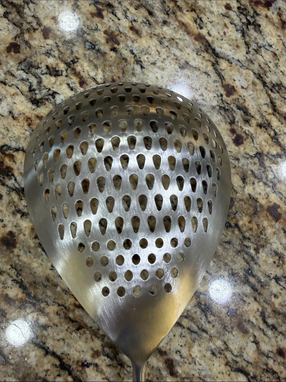 Stainless Steel Slotted Skimmer